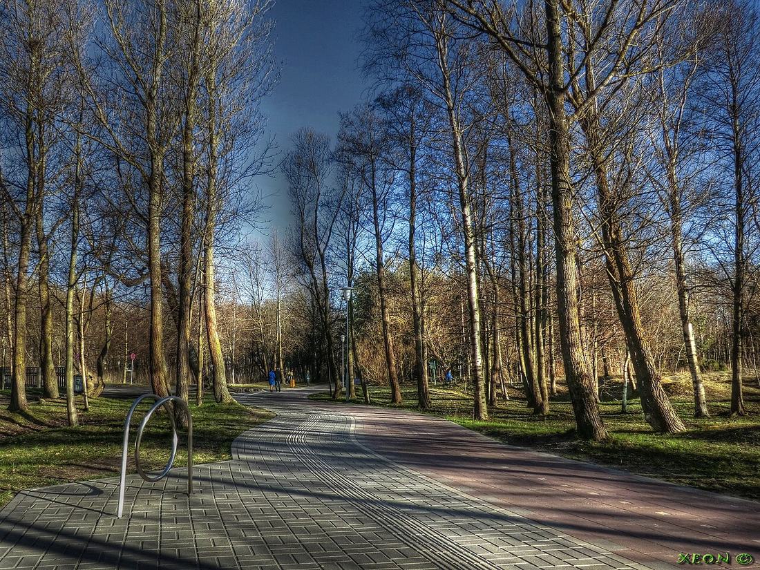 A bicycle path through a city park